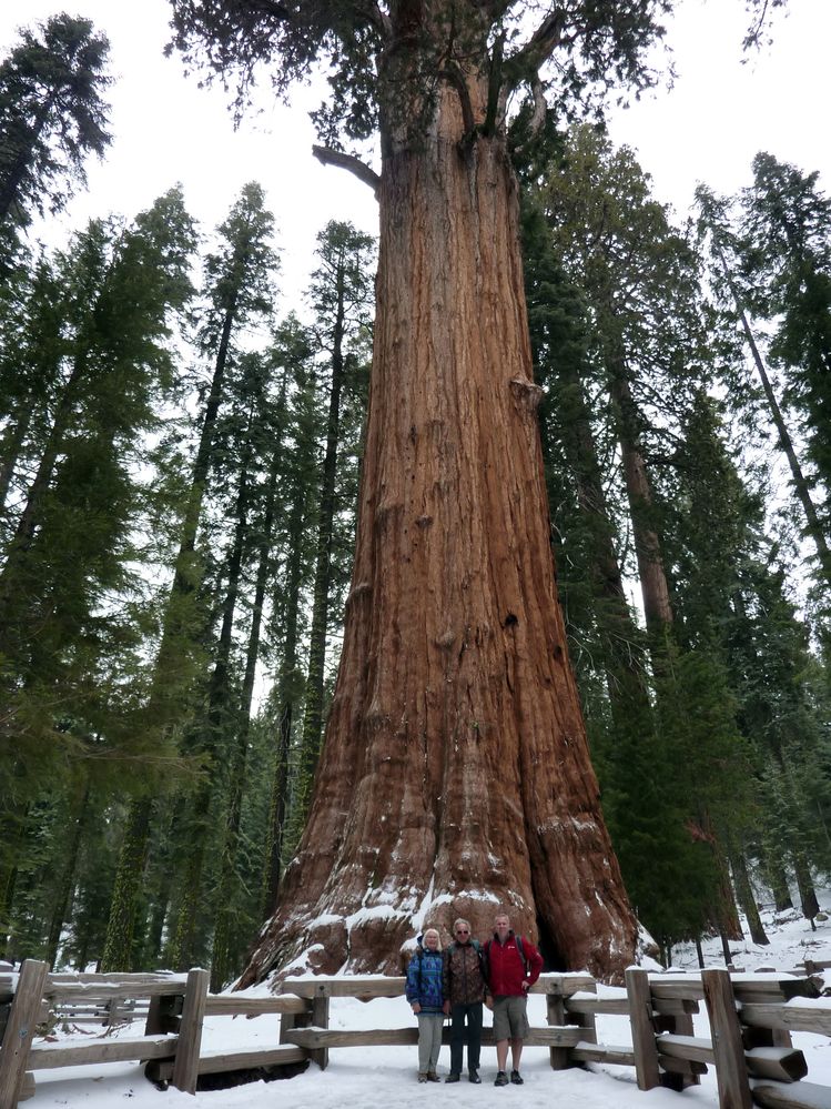 Sequoia parc(41).JPG